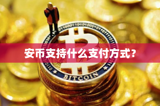 安币支持什么支付方式?
