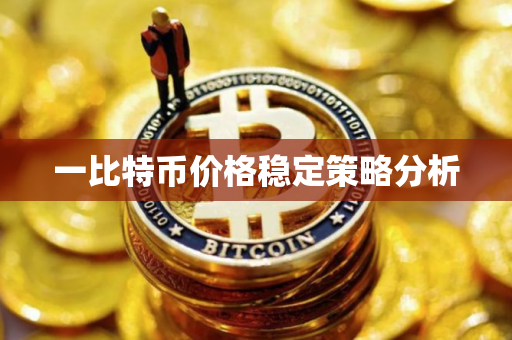 一比特币价格稳定策略分析