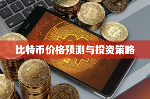 比特币价格预测与投资策略