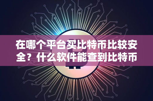 在哪个平台买比特币比较安全？什么软件能查到比特币价格