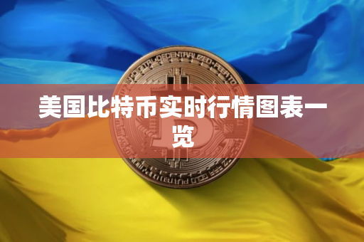 美国比特币实时行情图表一览