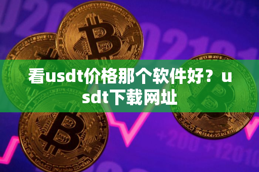 看usdt价格那个软件好？usdt下载网址
