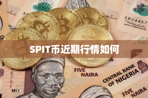 SPIT币近期行情如何