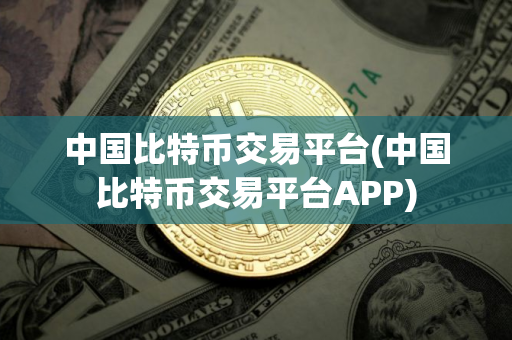 中国比特币交易平台(中国比特币交易平台APP)