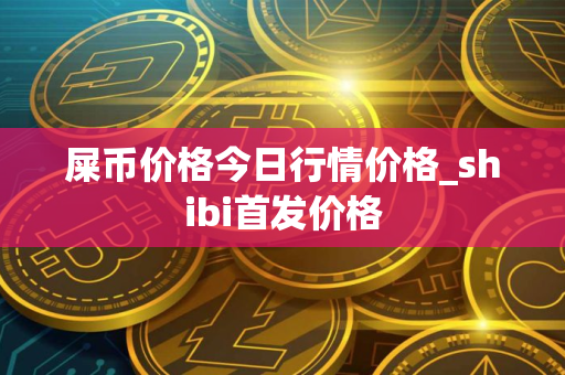 屎币价格今日行情价格_shibi首发价格