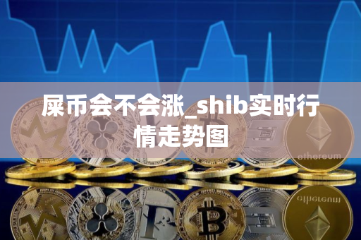 屎币会不会涨_shib实时行情走势图