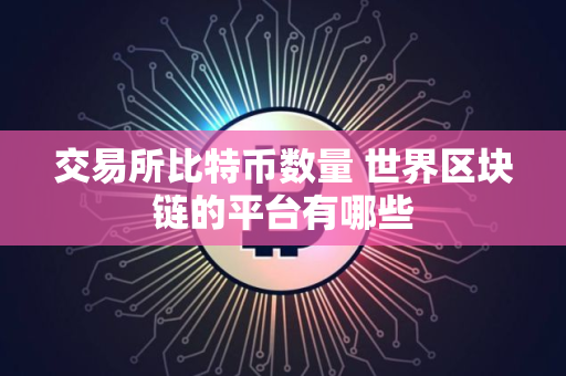 交易所比特币数量 世界区块链的平台有哪些