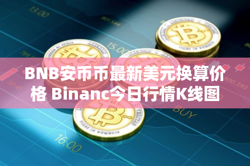 BNB安币币最新美元换算价格 Binanc今日行情K线图