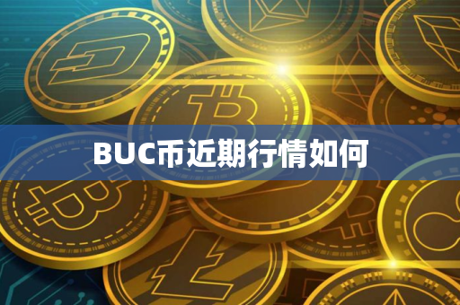 BUC币近期行情如何