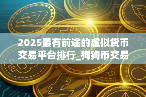 2025最有前途的虚拟货币交易平台排行_狗狗币交易平台
