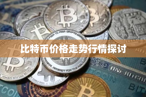比特币价格走势行情探讨