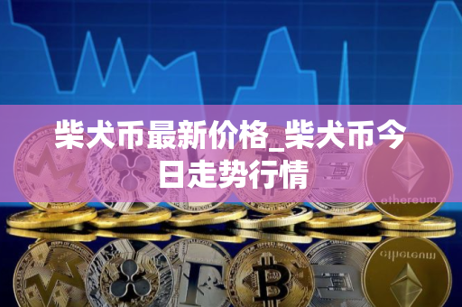 柴犬币最新价格_柴犬币今日走势行情