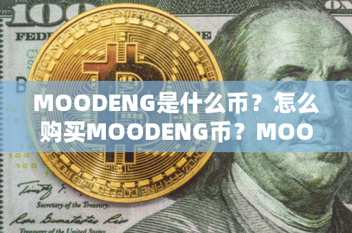 MOODENG是什么币?怎么购买MOODENG币?MOODENG币官网总量和币种概念介绍