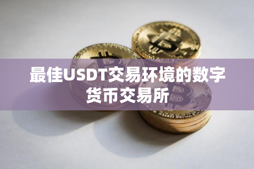 最佳USDT交易环境的数字货币交易所