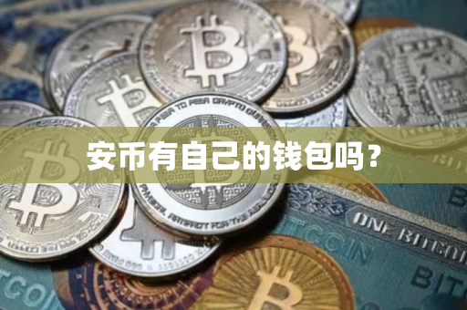 安币有自己的钱包吗？