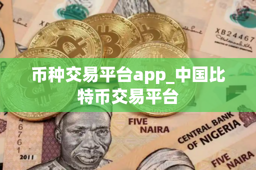 币种交易平台app_中国比特币交易平台
