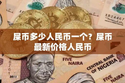 屎币多少人民币一个？屎币最新价格人民币