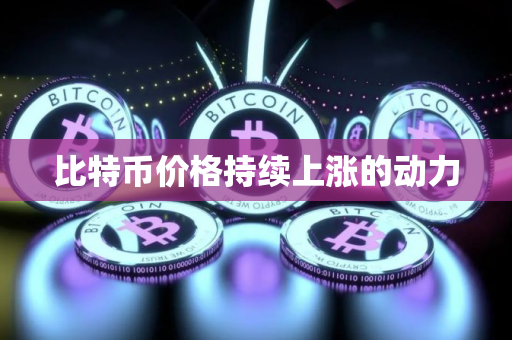 比特币价格持续上涨的动力