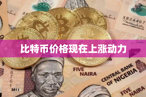比特币价格现在上涨动力