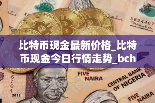 比特币现金最新价格_比特币现金今日行情走势_bch币钱包