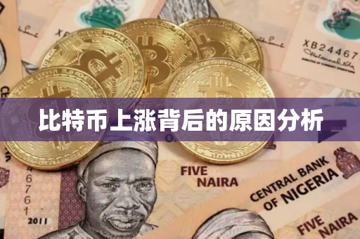 比特币上涨背后的原因分析