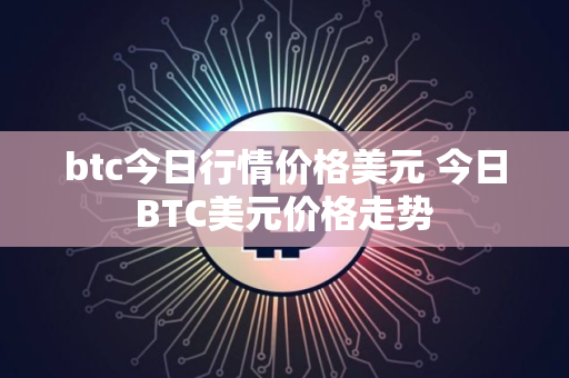 btc今日行情价格美元 今日BTC美元价格走势