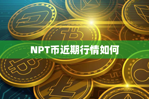 NPT币近期行情如何