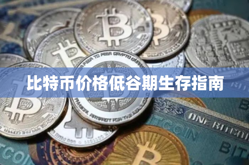 比特币价格低谷期生存指南