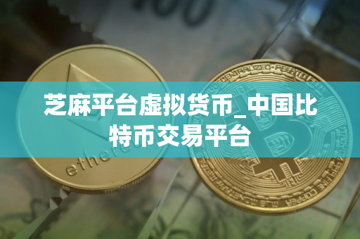 芝麻平台虚拟货币_中国比特币交易平台
