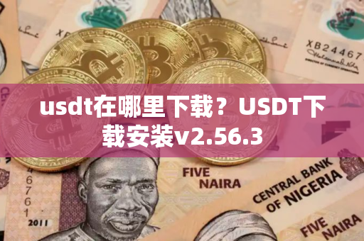 usdt在哪里下载?USDT下载安装v2.56.3 usdt在哪里下载?USDT下载安装v2.56.3