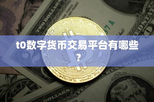 t0数字货币交易平台有哪些 ？