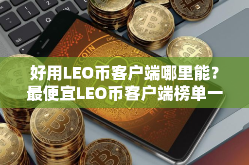 好用LEO币客户端哪里能？最便宜LEO币客户端榜单一览