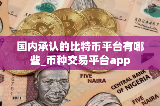 国内承认的比特币平台有哪些_币种交易平台app