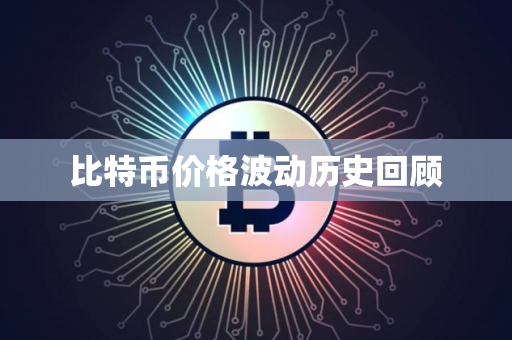 比特币价格波动历史回顾