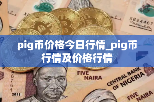 pig币价格今日行情_pig币行情及价格行情