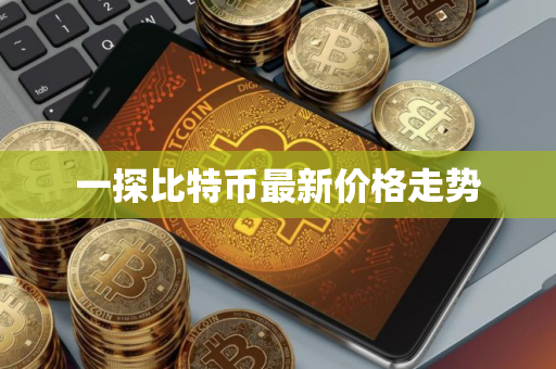 一探比特币最新价格走势