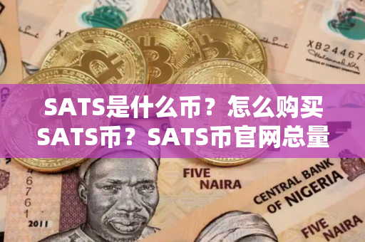 SATS是什么币？怎么购买SATS币？SATS币官网总量和币种概念介绍