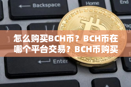 怎么购买BCH币？BCH币在哪个平台交易？BCH币购买交易教程