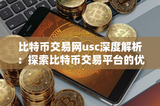 比特币交易网usc深度解析:探索比特币交易平台的优势与风险 比特币交易网usc深度解析:探索比特币交易平台的优势与风险