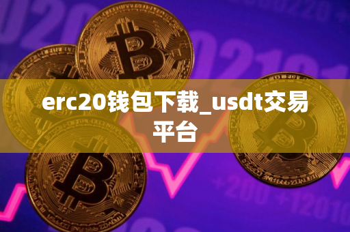 erc20钱包下载_usdt交易平台