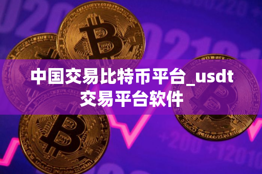 中国交易比特币平台_usdt交易平台软件