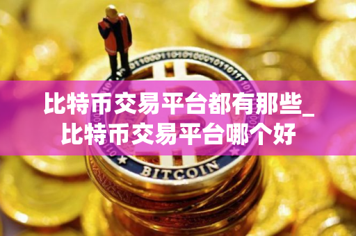 比特币交易平台都有那些_比特币交易平台哪个好