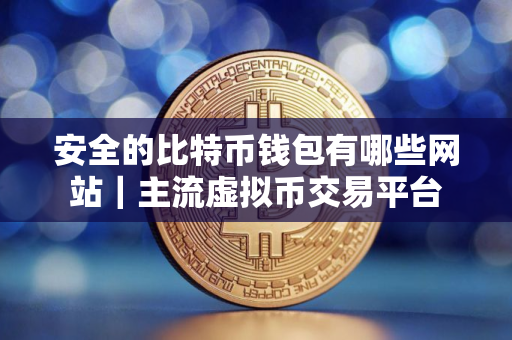 安全的比特币钱包有哪些网站｜主流虚拟币交易平台