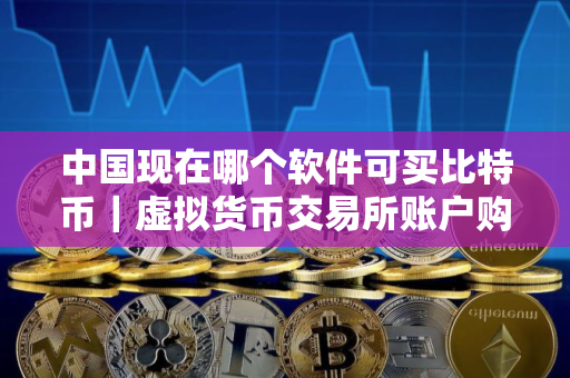中国现在哪个软件可买比特币|虚拟货币交易所账户购买 中国现在哪个软件可买比特币|虚拟货币交易所账户购买
