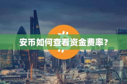 安币如何查看资金费率？