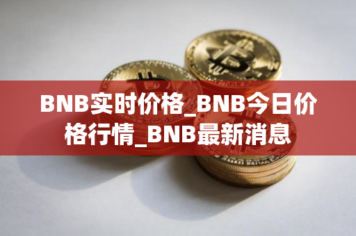 BNB实时价格_BNB今日价格行情_BNB最新消息