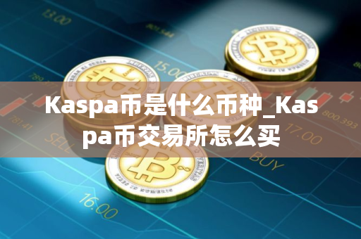 Kaspa币是什么币种_Kaspa币交易所怎么买