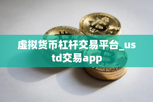虚拟货币杠杆交易平台_ustd交易app