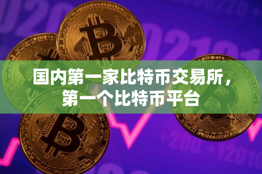 国内第一家比特币交易所，第一个比特币平台