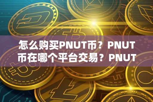 怎么购买PNUT币？PNUT币在哪个平台交易？PNUT币购买交易教程